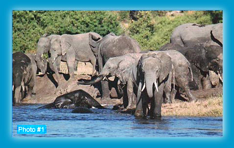 Available mounted on greeting cards. Email your order to orders@eglinpix.com.